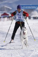 Lenk 2013